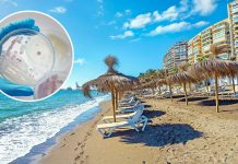 OPASNOST VREBA U MORU KOJE OBOŽAVAJU TURISTI: Bakterija koja može izazvati sepsu širi se evropskim plažama, stručnjaci izdali ozbiljno upozorenje