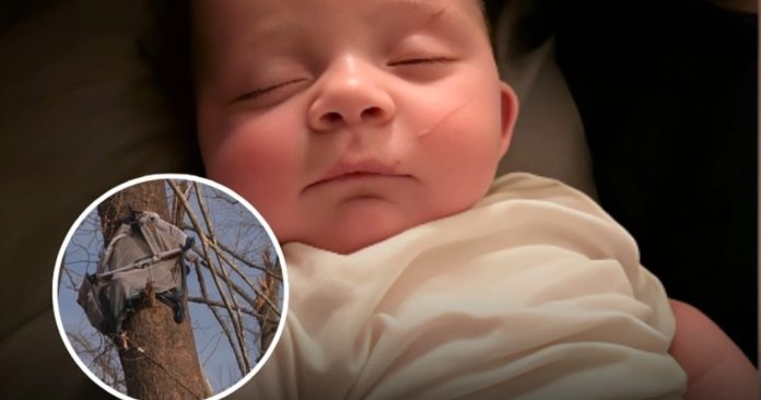 Beba pronađena živa u drvetu nakon tornada: “Kao da ju je B0g položio tamo”