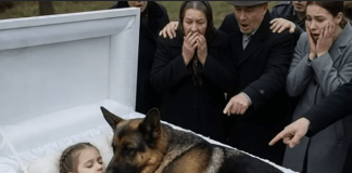 Njemačka ovčarka nije dopuštala nikome da priđe kovčegu male djevojčice. Ali čim su ljudi vidjeli šta je skrivala, ostali su zapanjeni od užasa… 😲😲😲