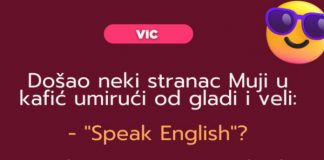 VIC: Mujo i strani jezici VIC: Mujo i strani jezici - featured image