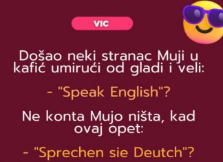 VIC: Mujo i strani jezici VIC: Mujo i strani jezici - featured image