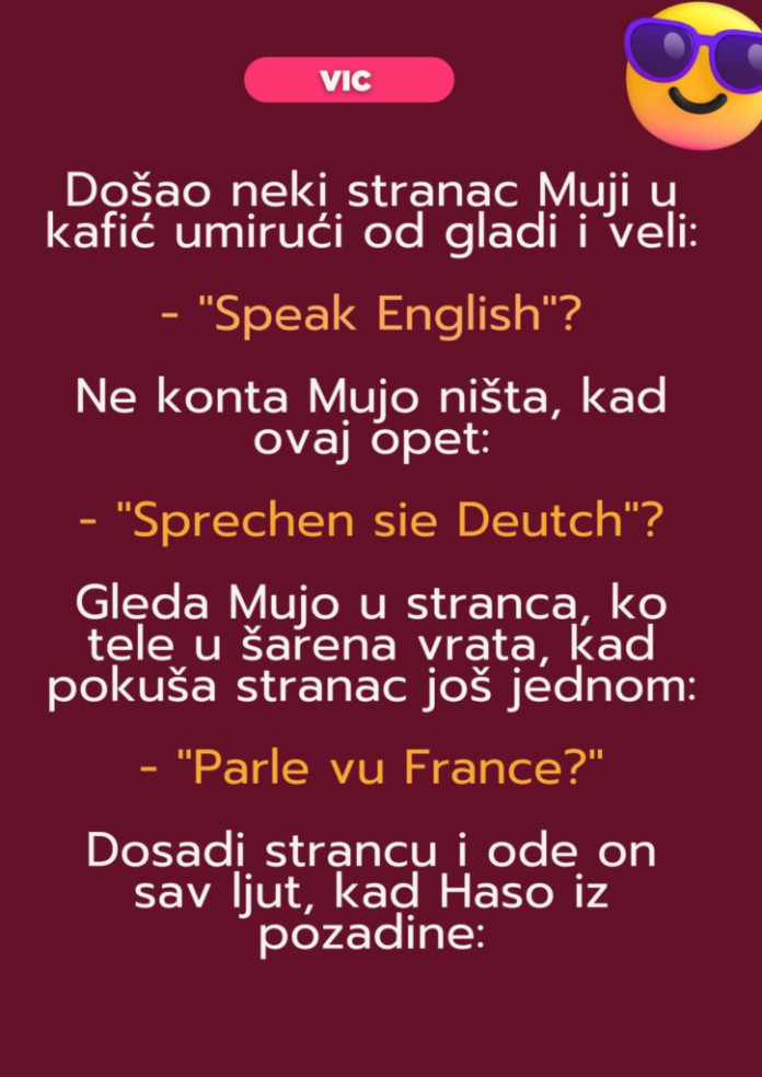 VIC: Mujo i strani jezici - featured image