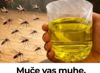 Korisni savjeti kako se riješiti muha i komaraca u kući Korisni savjeti kako se riješiti muha i komaraca u kući - featured image