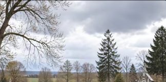 Tokom sahrane 60-godišnjeg farmera, njegov vjerni konj uletio je na groblje dok je nekoliko muškaraca pokušalo da zaustavi ludu životinju, a onda je kopitima počeo žestoko da udara u poklopac kovčega: svi prisutni su se smrzli od užasa kada se poklopac otvorio i vidjeli su šta se krije unutra 😱 Tokom sahrane 60-godišnjeg farmera, njegov vjerni konj uletio je na groblje dok je nekoliko muškaraca pokušalo da zaustavi ludu životinju, a onda je kopitima počeo žestoko da udara u poklopac kovčega: svi prisutni su se smrzli od užasa kada se poklopac otvorio i vidjeli su šta se krije unutra 😱 - featured image