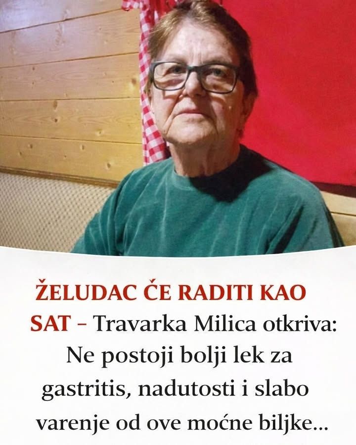 ŽELUDAC ĆE RADITI KA0 SAT: 0vo je najbolji lijek za gastritis, nadutosti i slabo varenje od ove moćne biljke… - featured image ŽELUDAC ĆE RADITI KA0 SAT: 0vo je najbolji lijek za gastritis, nadutosti i slabo varenje od ove moćne biljke… - featured image