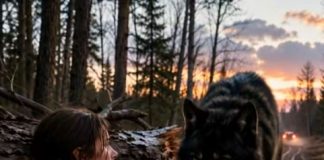 Muž je ostavio trudnu ženu samu u šumi, nadajući se da će je se riješiti i uzeti joj sav novac. Kada je pala noć, gigantski vuk se pojavio iz najdubljeg dijela šume, a ono što se zatim desilo bilo je zaista zastrašujuće… 😱 😱 Muž je ostavio trudnu ženu samu u šumi, nadajući se da će je se riješiti i uzeti joj sav novac. Kada je pala noć, gigantski vuk se pojavio iz najdubljeg dijela šume, a ono što se zatim desilo bilo je zaista zastrašujuće… 😱 😱 - featured image