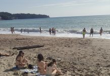 Panika kod Sutomora, JEZIVO MORSKO STVORENJE sledilo kupače!SVI PREDTRAVLJENI POBJEGLI SA PLAŽE GLAVOM BEZ OBZIRA!!! Panika kod Sutomora, JEZIVO MORSKO STVORENJE sledilo kupače!SVI PREDTRAVLJENI POBJEGLI SA PLAŽE GLAVOM BEZ OBZIRA!!! - featured image