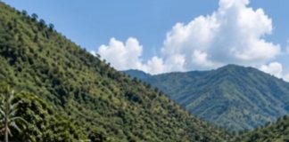 Muž je namjerno gurnuo slijepu ženu sa djelomično srušenog mosta i pravo u bijesnu rijeku, nadajući se da će je se zauvijek riješiti i učiniti da sve izgleda kao nesreća. Ali on nije imao pojma kakvu tajnu njegova žena krije ili kako će se taj dan završiti za njega… 😨 Muž je namjerno gurnuo slijepu ženu sa djelomično srušenog mosta i pravo u bijesnu rijeku, nadajući se da će je se zauvijek riješiti i učiniti da sve izgleda kao nesreća. Ali on nije imao pojma kakvu tajnu njegova žena krije ili kako će se taj dan završiti za njega… 😨 - featured image
