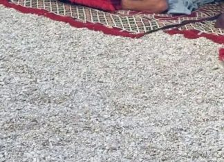 Prespavali su na plaži kod Splita i postali hit na društvenim mrežama, odmah će vam biti jasno zašto Prespavali su na plaži kod Splita i postali hit na društvenim mrežama, odmah će vam biti jasno zašto - featured image
