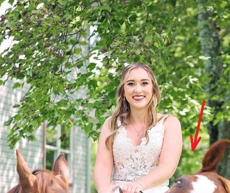 OVA SLIKA JE NAJVEĆI HIT, LJUDI PLAČU OD SMIJEHA: Kad vidite donji dio slike NEĆE VAM BITI DOBRO - featured image OVA SLIKA JE NAJVEĆI HIT, LJUDI PLAČU OD SMIJEHA: Kad vidite donji dio slike NEĆE VAM BITI DOBRO - featured image