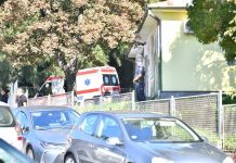 Australijski slučaj koji je razotkrio smrtonosnu alergiju: porodica dječaka godinama tražila odgovor Australijski slučaj koji je razotkrio smrtonosnu alergiju: porodica dječaka godinama tražila odgovor - featured image