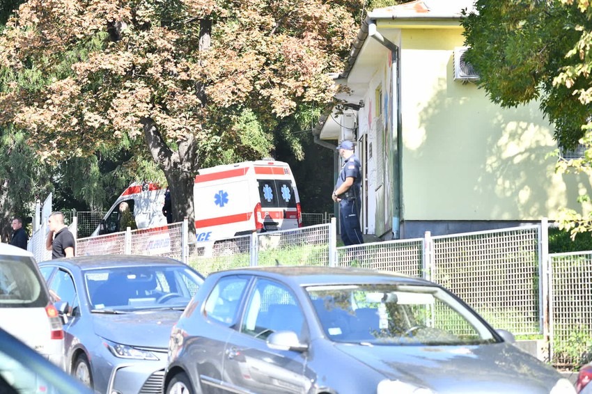 Australijski slučaj koji je razotkrio smrtonosnu alergiju: porodica dječaka godinama tražila odgovor - featured image Australijski slučaj koji je razotkrio smrtonosnu alergiju: porodica dječaka godinama tražila odgovor - featured image