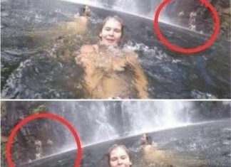 Da li zaista vidite sve na prvi pogled? Možda propuštate najvažnije detalje Da li zaista vidite sve na prvi pogled? Možda propuštate najvažnije detalje - featured image