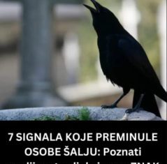 SIGNALI KOJE PREMINULE OSOBE ŠALJU: Poznati medij tvrdi da je to ZNAK da su tu i da nam žele nešto poručiti SIGNALI KOJE PREMINULE OSOBE ŠALJU: Poznati medij tvrdi da je to ZNAK da su tu i da nam žele nešto poručiti - featured image