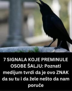 SIGNALI KOJE PREMINULE OSOBE ŠALJU: Poznati medij tvrdi da je to ZNAK da su tu i da nam žele nešto poručiti - featured image SIGNALI KOJE PREMINULE OSOBE ŠALJU: Poznati medij tvrdi da je to ZNAK da su tu i da nam žele nešto poručiti - featured image