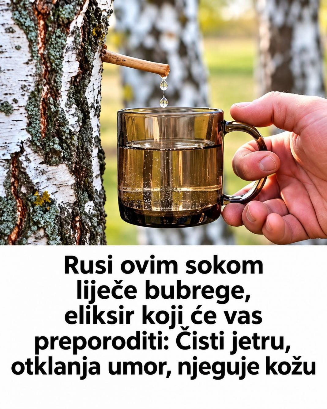 Rusi ovim sokom liječe bubrege , eliksir koji će vas preporoditi: Čisti jetru, otklanja umor, njeguje kožu - featured image Rusi ovim sokom liječe bubrege , eliksir koji će vas preporoditi: Čisti jetru, otklanja umor, njeguje kožu - featured image