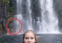 Zašto isti kadar jedni vide odmah, a drugi tek nakon drugog pogleda Zašto isti kadar jedni vide odmah, a drugi tek nakon drugog pogleda - featured image