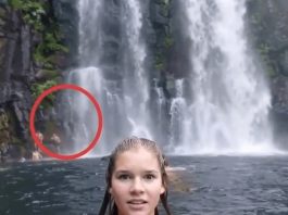 Zašto isti kadar jedni vide odmah, a drugi tek nakon drugog pogleda Zašto isti kadar jedni vide odmah, a drugi tek nakon drugog pogleda - featured image