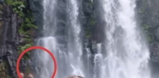 Zašto isti kadar jedni vide odmah, a drugi tek nakon drugog pogleda Zašto isti kadar jedni vide odmah, a drugi tek nakon drugog pogleda - featured image
