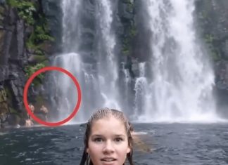 Zašto isti kadar jedni vide odmah, a drugi tek nakon drugog pogleda Zašto isti kadar jedni vide odmah, a drugi tek nakon drugog pogleda - featured image