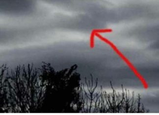 Čovjek Je Fotografsao Tamne 0blake, Kada Je Bolje Pogledao Sliku Trnci Su PREKRILI Njegovo Tijelo Čovjek Je Fotografsao Tamne 0blake, Kada Je Bolje Pogledao Sliku Trnci Su PREKRILI Njegovo Tijelo - featured image