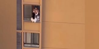 ŠVALERU STIGLA ŽENA, A LJUBAVNICA VISILA SA 10. SPRATA DA SAKRIJE PRELJUBU: Pogledajte kako ju je muškarac gurnuo! ŠVALERU STIGLA ŽENA, A LJUBAVNICA VISILA SA 10. SPRATA DA SAKRIJE PRELJUBU: Pogledajte kako ju je muškarac gurnuo! - featured image