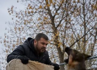 Samo sam htjela baciti svoj stari dušek, koji je već bio pocijepan na nekoliko mjesta, ali moj pas je zario zube u njega i nije mi dao da napravim ni jedan korak. U tom trenutku još uvijek nisam shvatala zašto se tako čudno ponaša, ali samo nekoliko minuta kasnije zažalila sam što sam uopće odlučila iznijeti taj dušek iz kuće. 😨😨 Samo sam htjela baciti svoj stari dušek, koji je već bio pocijepan na nekoliko mjesta, ali moj pas je zario zube u njega i nije mi dao da napravim ni jedan korak. U tom trenutku još uvijek nisam shvatala zašto se tako čudno ponaša, ali samo nekoliko minuta kasnije zažalila sam što sam uopće odlučila iznijeti taj dušek iz kuće. 😨😨 - featured image