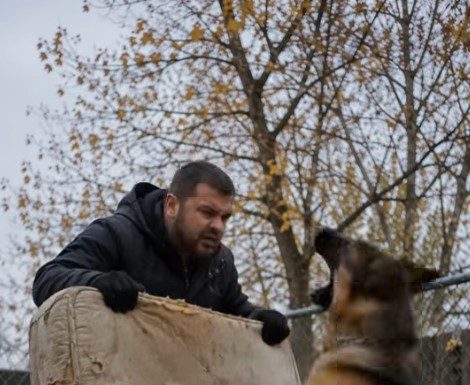 Samo sam htjela baciti svoj stari dušek, koji je već bio pocijepan na nekoliko mjesta, ali moj pas je zario zube u njega i nije mi dao da napravim ni jedan korak. U tom trenutku još uvijek nisam shvatala zašto se tako čudno ponaša, ali samo nekoliko minuta kasnije zažalila sam što sam uopće odlučila iznijeti taj dušek iz kuće. 😨😨 Samo sam htjela baciti svoj stari dušek, koji je već bio pocijepan na nekoliko mjesta, ali moj pas je zario zube u njega i nije mi dao da napravim ni jedan korak. U tom trenutku još uvijek nisam shvatala zašto se tako čudno ponaša, ali samo nekoliko minuta kasnije zažalila sam što sam uopće odlučila iznijeti taj dušek iz kuće. 😨😨 - featured image