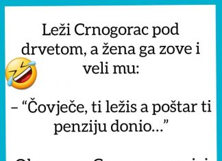 VIC DANA: Crnogorac i penzija VIC DANA: Crnogorac i penzija - featured image