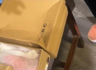 Žena naručila papuče preko Temu-a, kada su joj stigle, umelo nije doživela šlog! Prevrnula se na glavu kada je… Žena naručila papuče preko Temu-a, kada su joj stigle, umelo nije doživela šlog! Prevrnula se na glavu kada je… - featured image