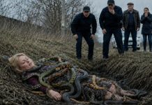 Ženu koja je ležala u kanalu obavijale su zmije. Čak su se i policajci bojali prići bliže. A trenutak kasnije svi su ostali šokirani onim što su vidjeli….😲😲😲