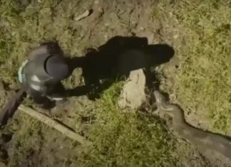 ČOVEK DOZVOLIO DA GA PROGUTA OGROMNA ZMIJA: Obukao specijalno odelo, a onda su stvari BRZO KRENULE PO ZLU (VIDEO) ČOVEK DOZVOLIO DA GA PROGUTA OGROMNA ZMIJA: Obukao specijalno odelo, a onda su stvari BRZO KRENULE PO ZLU (VIDEO) - featured image