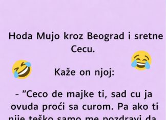 VIC: Mujo sretne Cecu VIC: Mujo sretne Cecu - featured image