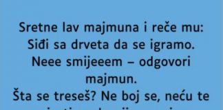 VIC: Majmun i lav VIC: Majmun i lav - featured image