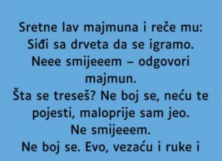 VIC: Majmun i lav VIC: Majmun i lav - featured image