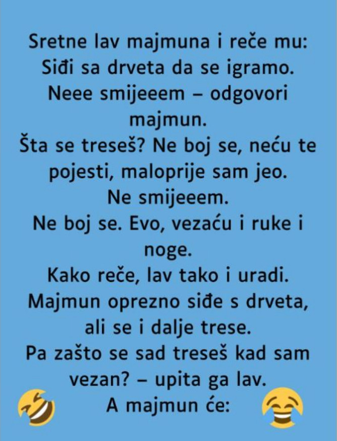 VIC: Majmun i lav - featured image VIC: Majmun i lav - featured image