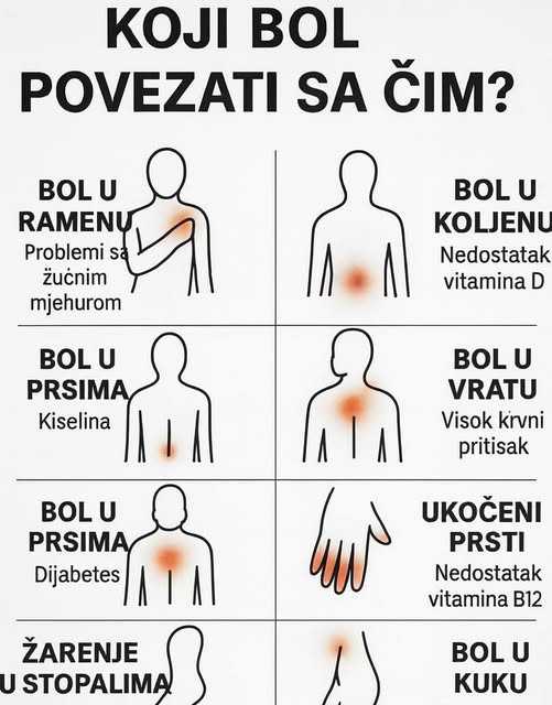 K0JI B0L P0VEZATI SA ČIM.. ŠTA VAŠ B0L G0V0RI 0 VAŠEM ZDRAVLJU - featured image