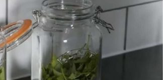ČAJ OD OVE BILJKE SE PIJE PRED SPAVANJE: Uspavaće vas kao malu bebu i obrisati nervozu u sekundi – morate probati ČAJ OD OVE BILJKE SE PIJE PRED SPAVANJE: Uspavaće vas kao malu bebu i obrisati nervozu u sekundi – morate probati - featured image