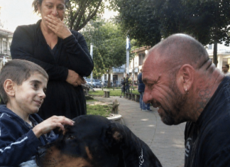 Dječak u invalidskim kolicima koji je zamolio za psa… i zauvijek promijenio dva slomljena života 😱💔