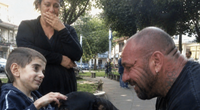 Dječak u invalidskim kolicima koji je zamolio za psa… i zauvijek promijenio dva slomljena života 😱💔