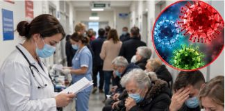 DOMOVI ZDRAVLJA PUNI, VIŠE OD 300 PREGLEDA ZA DAN, BOLESNI STARI I MLADI! Haraju 3 virusa, ovo su ključni simptomi! DOMOVI ZDRAVLJA PUNI, VIŠE OD 300 PREGLEDA ZA DAN, BOLESNI STARI I MLADI! Haraju 3 virusa, ovo su ključni simptomi! - featured image