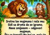 VIC: Majmun i lav VIC: Majmun i lav - featured image