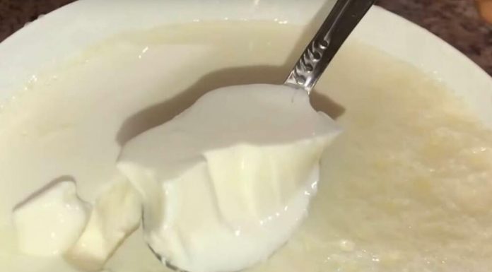 OVAJ BELI “OTROV” SVI JEDEMO I 3 PUTA JE GORI OD SLATKIŠA: Mislimo da je ZDRAV, a ovo je SUROVA ISTINA! OVAJ BELI “OTROV” SVI JEDEMO I 3 PUTA JE GORI OD SLATKIŠA: Mislimo da je ZDRAV, a ovo je SUROVA ISTINA! - featured image